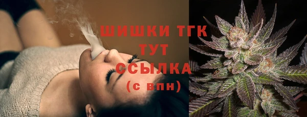 мет Осташков