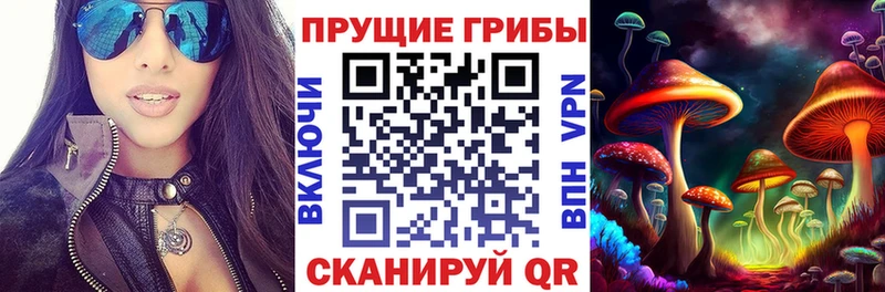 Галлюциногенные грибы ЛСД  Купить где  Клинцы 